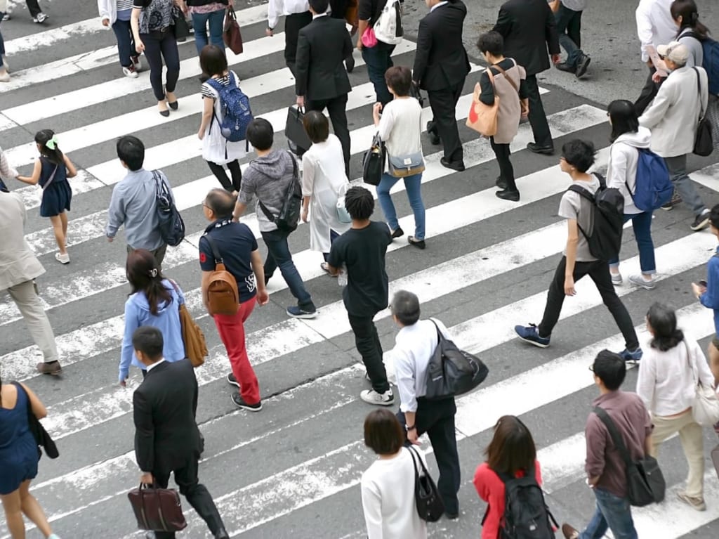 国税調査スタート