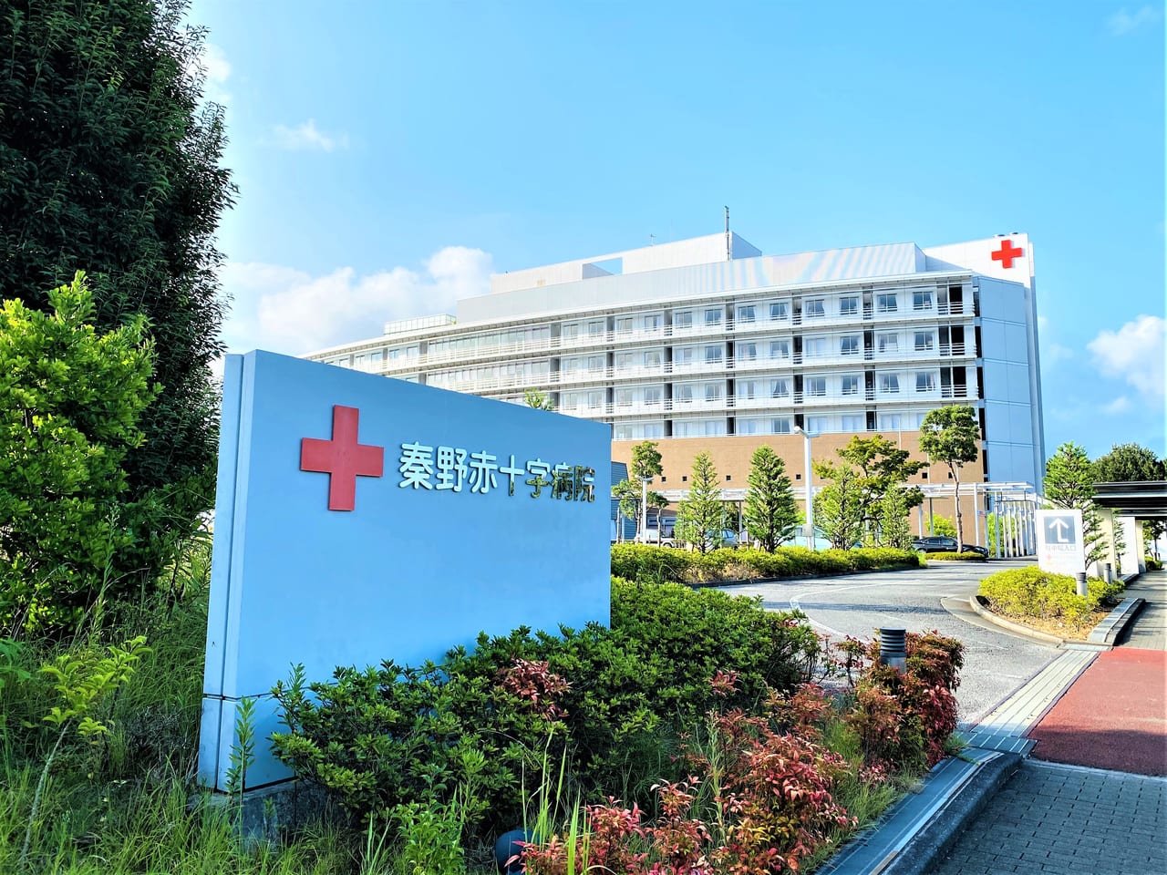 病院 秦野 赤十字