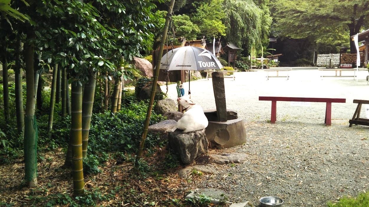 出雲大社相模分祠