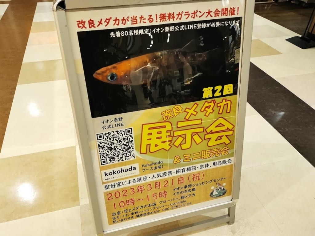 めだか