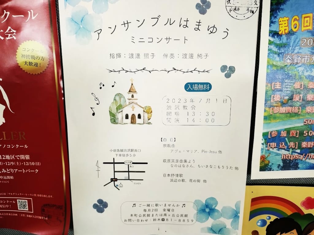はまゆう