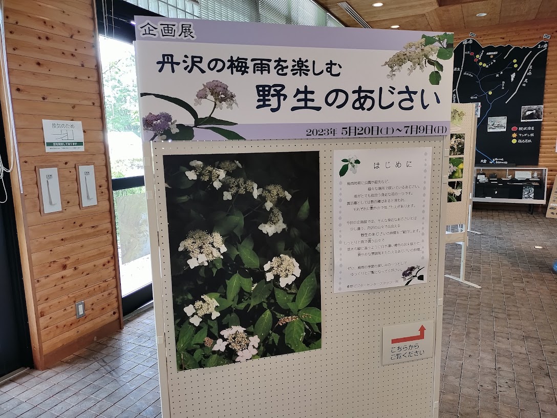 戸川公園