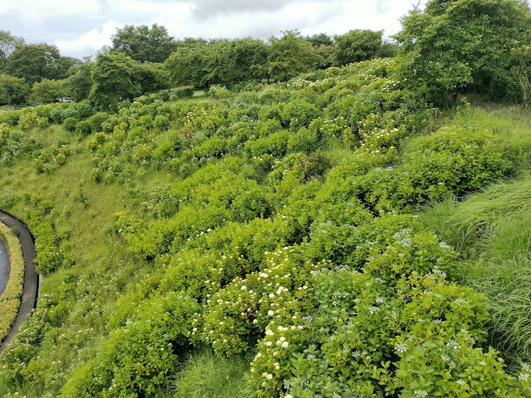戸川公園