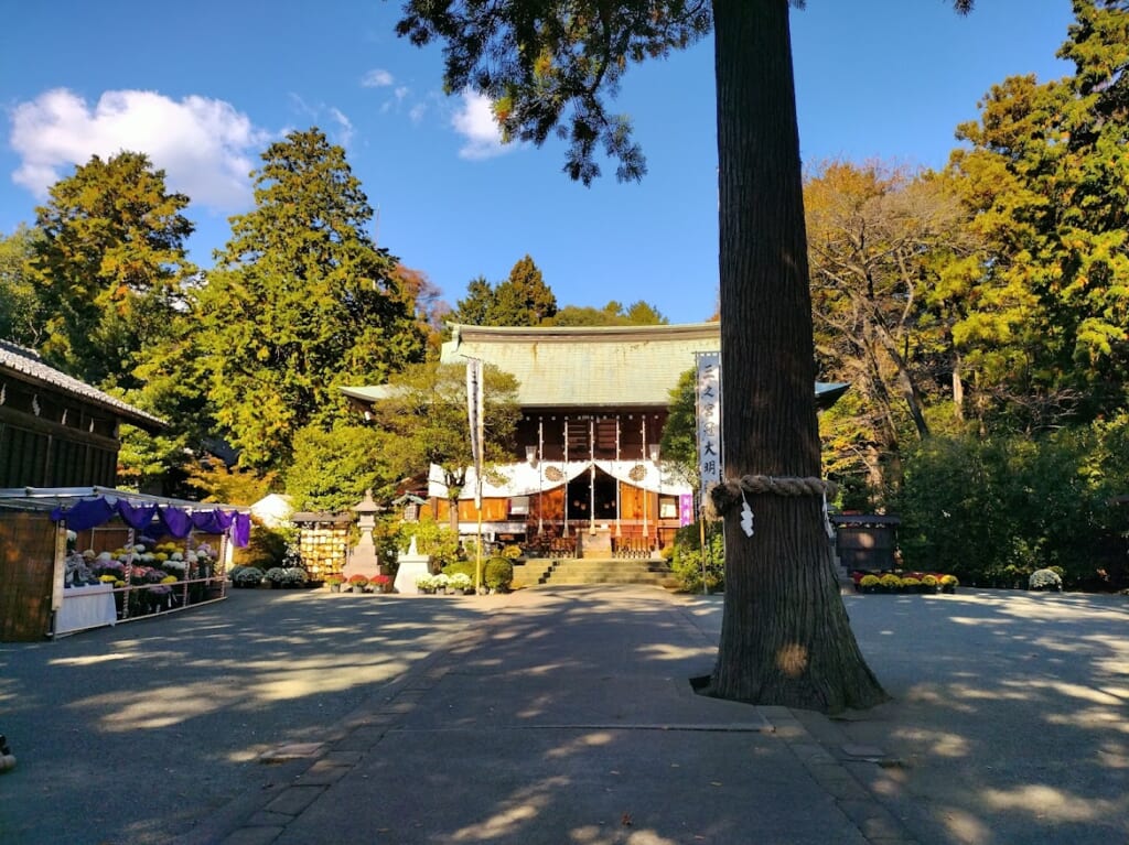 比々多神社