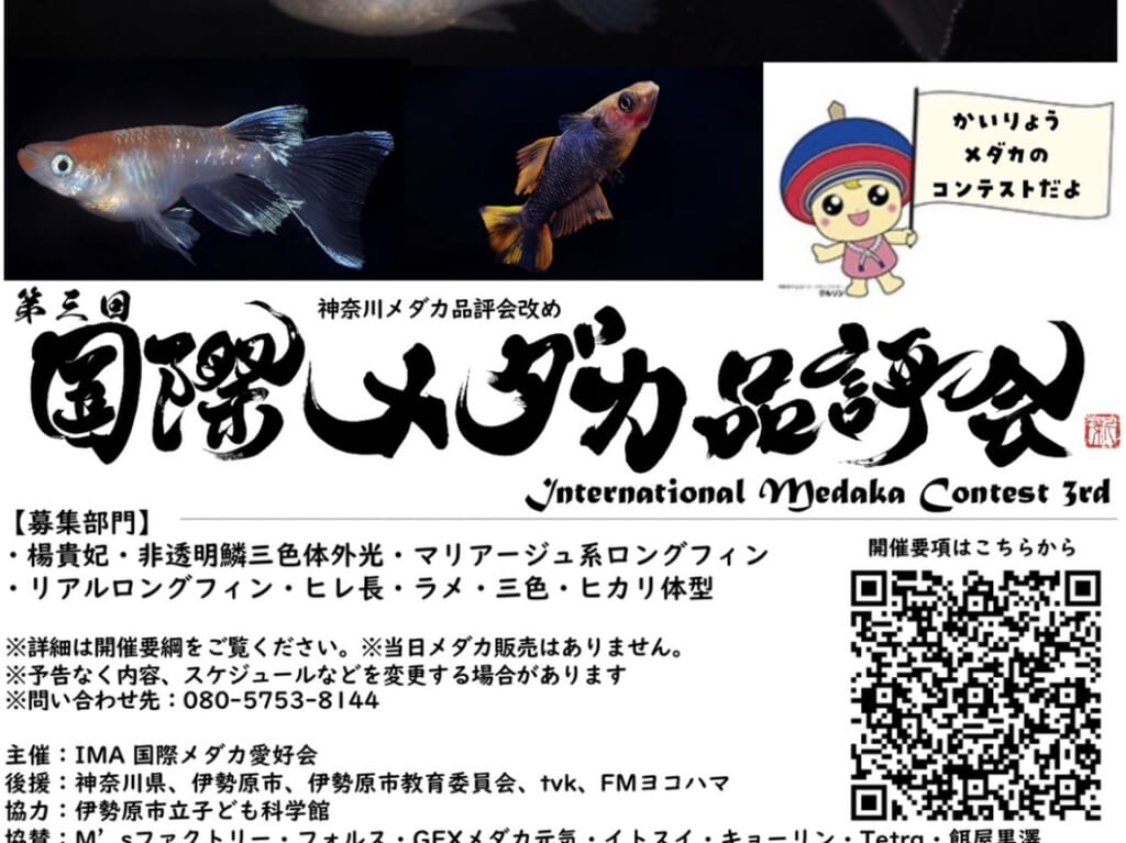 メダカ品評会