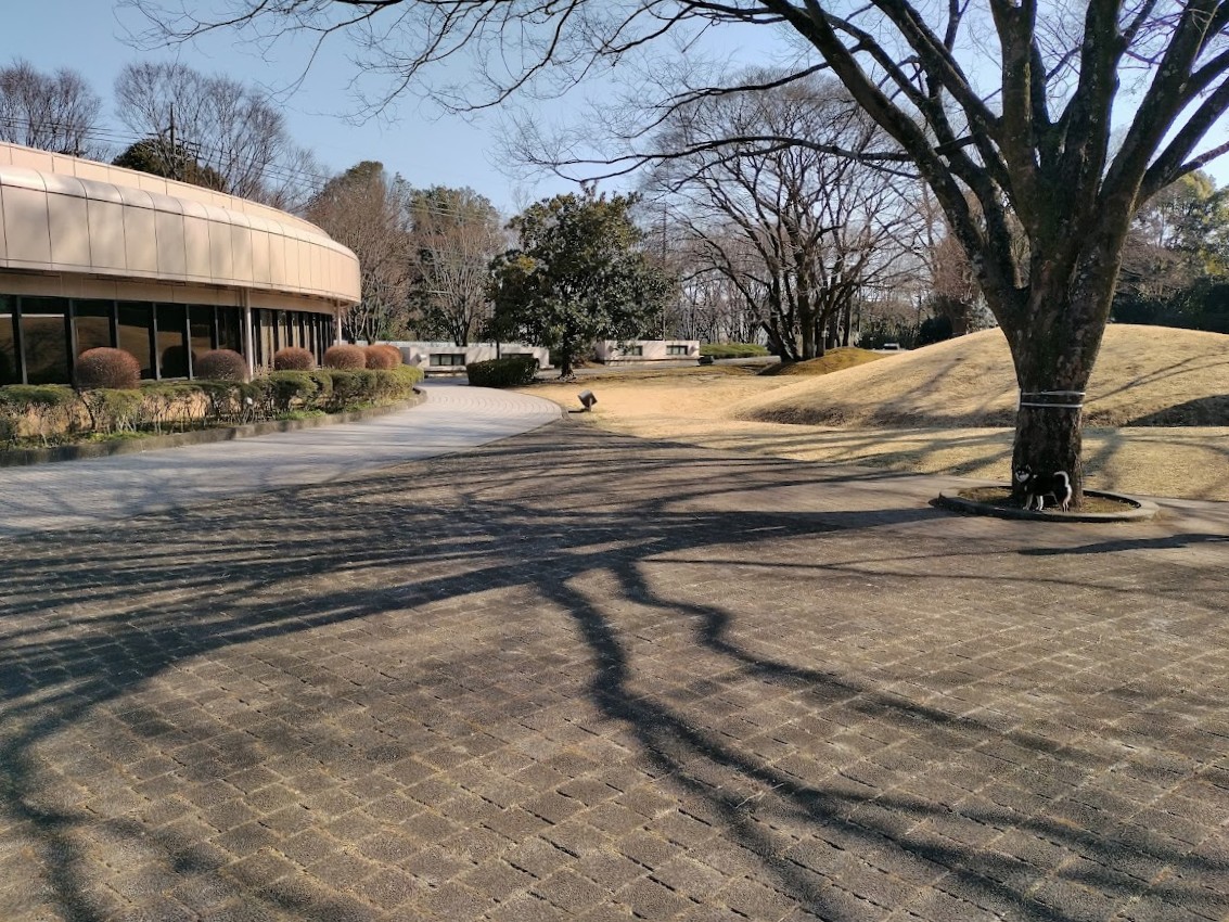 桜土手