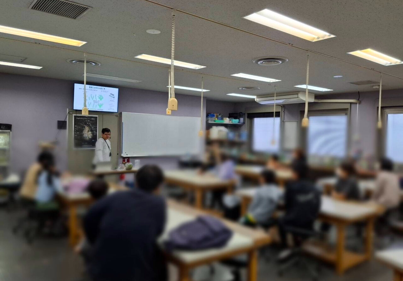 8月メダカ教室