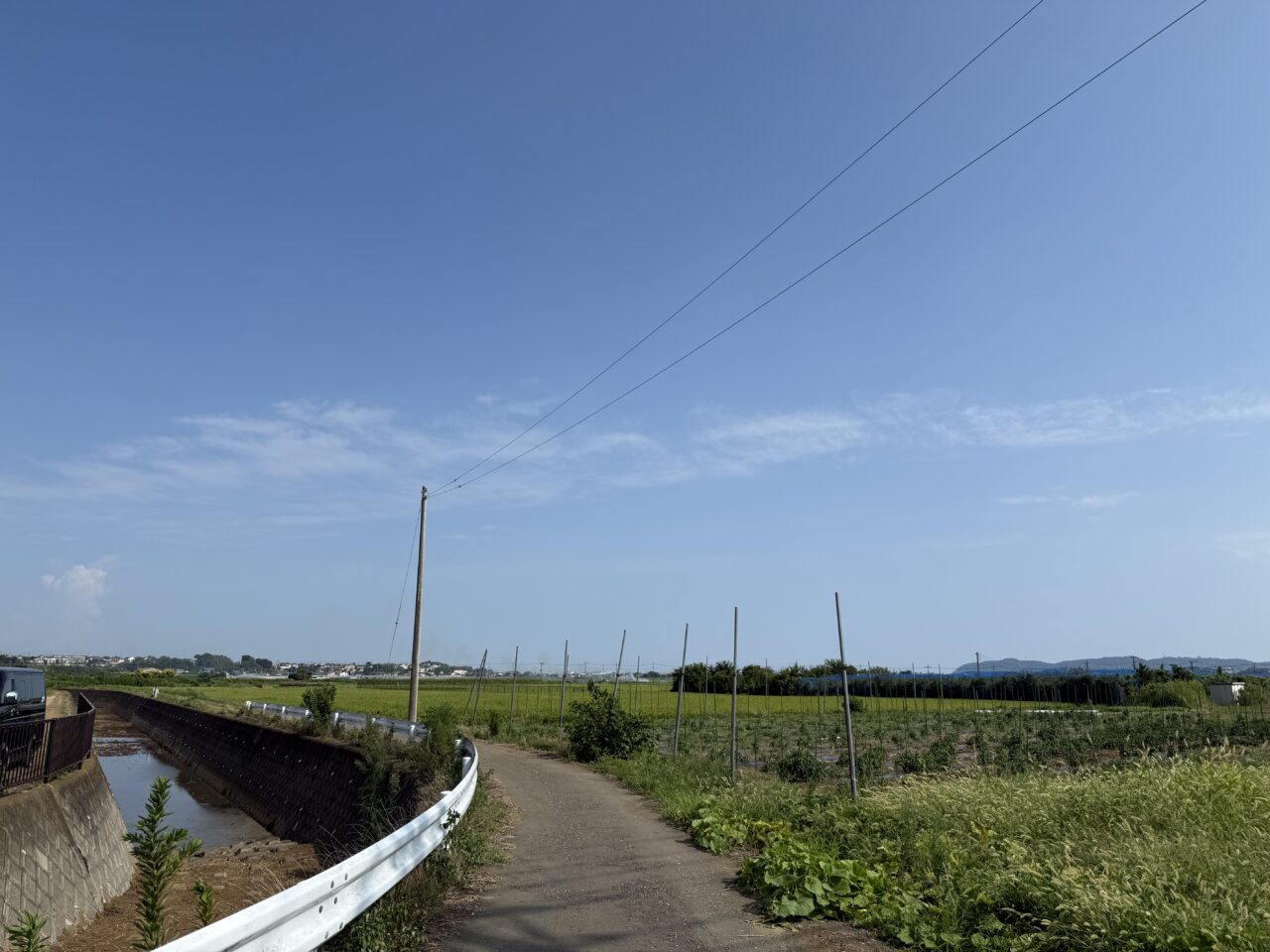 鶴巻子ども自然発見隊