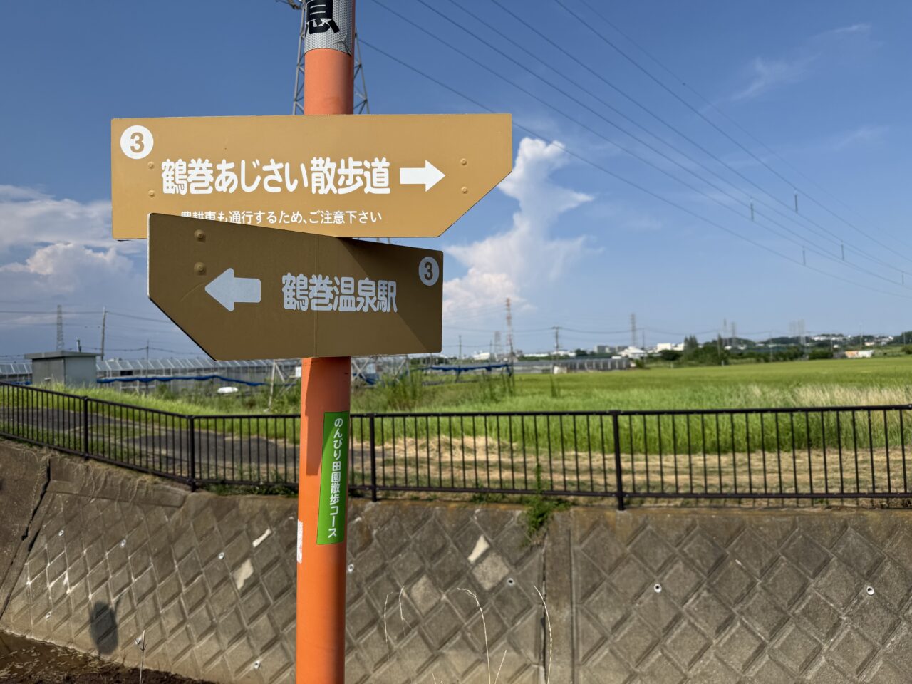 鶴巻子ども自然発見隊