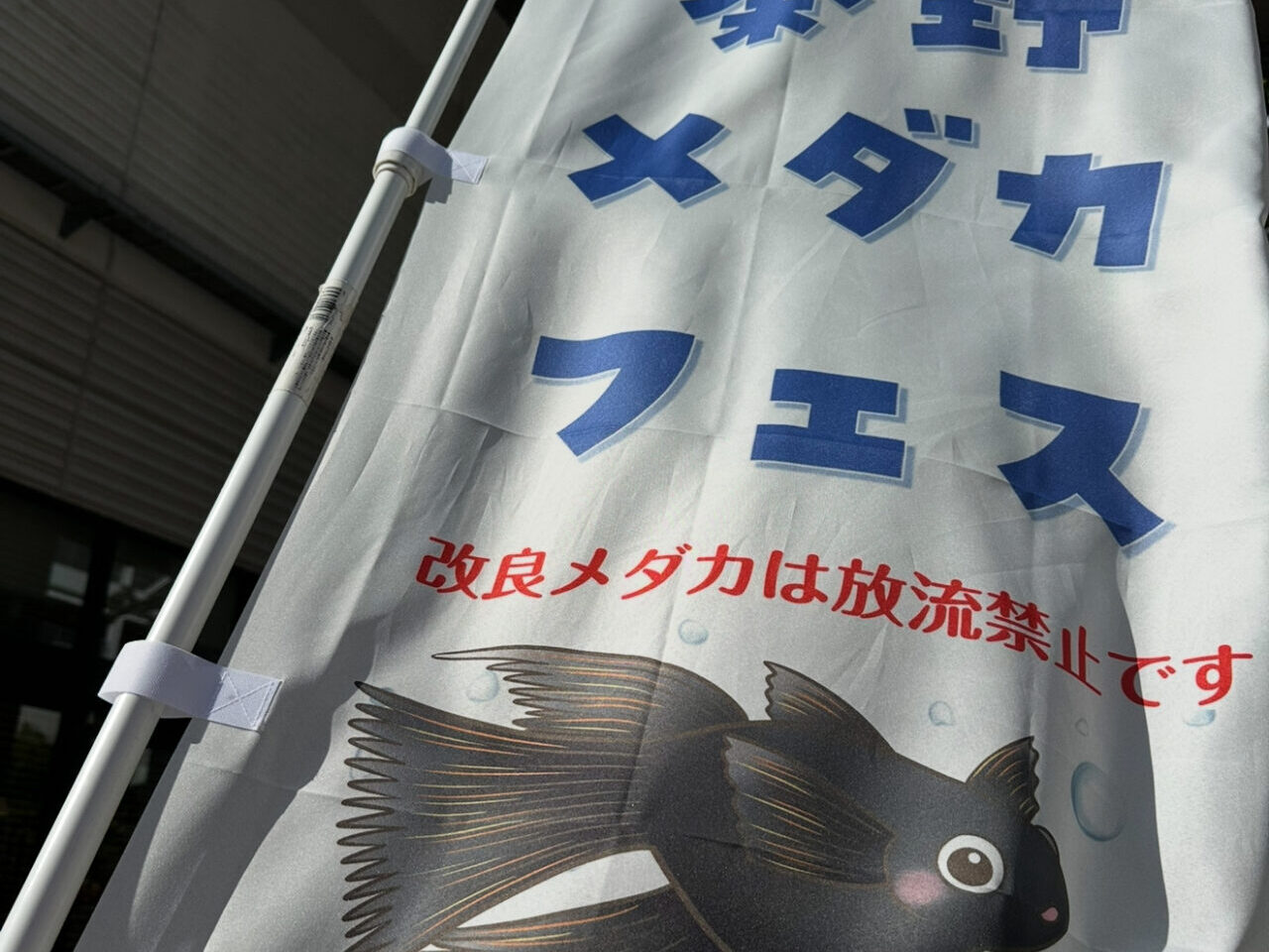 秦野メダカフェス8th