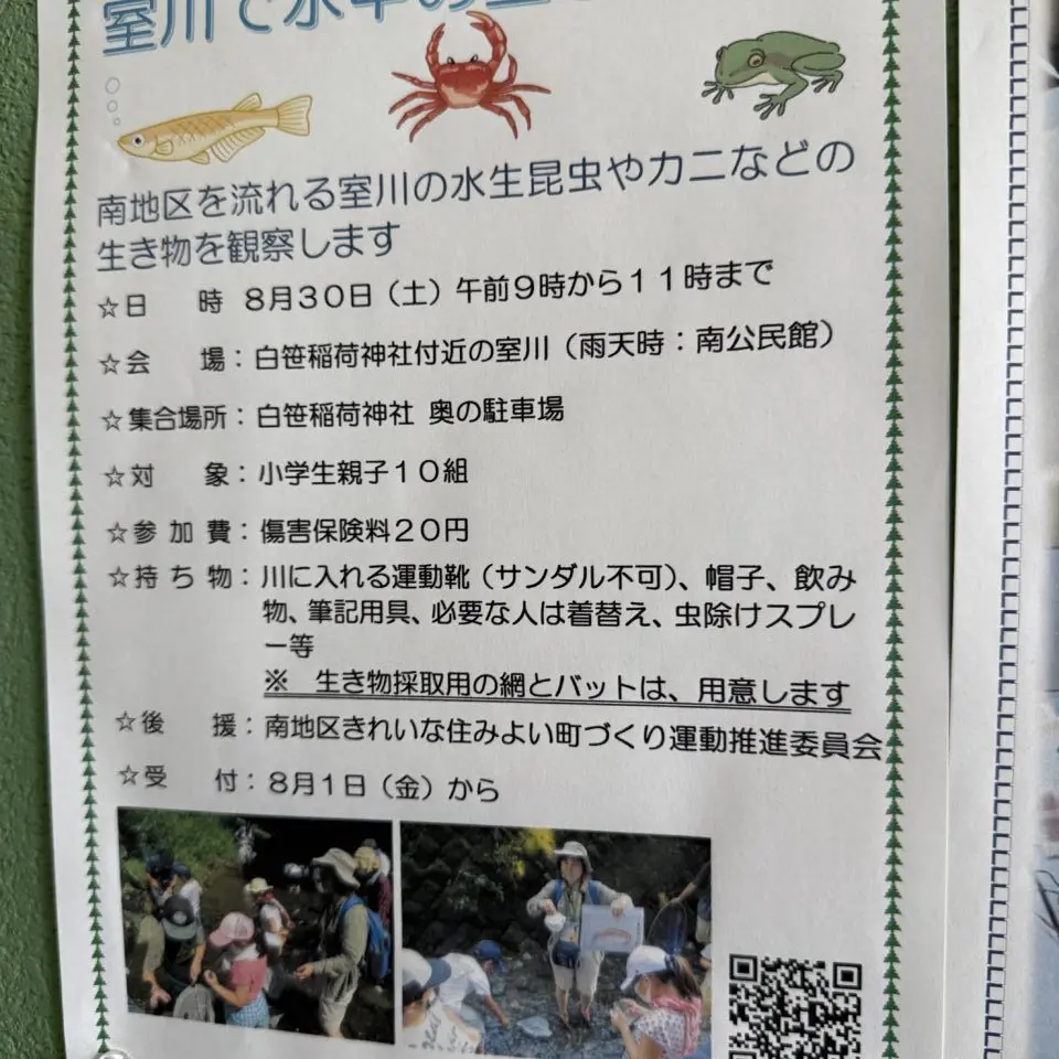 室川生き物探検