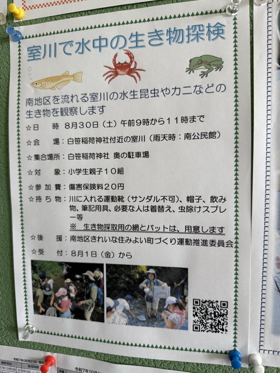 室川生き物探検