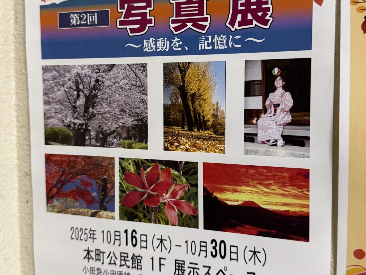 2025丹沢フォト