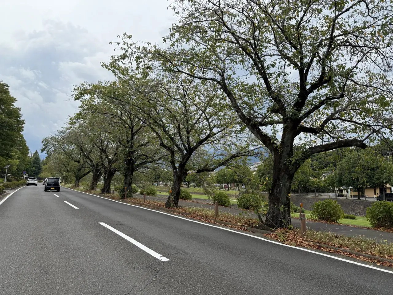 2025はだの丹沢マラソン