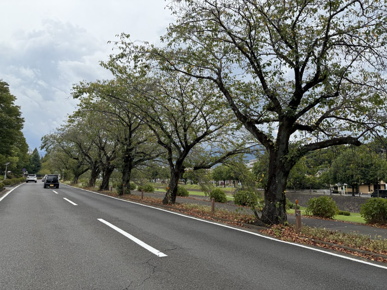 2025秦野車椅子体験会