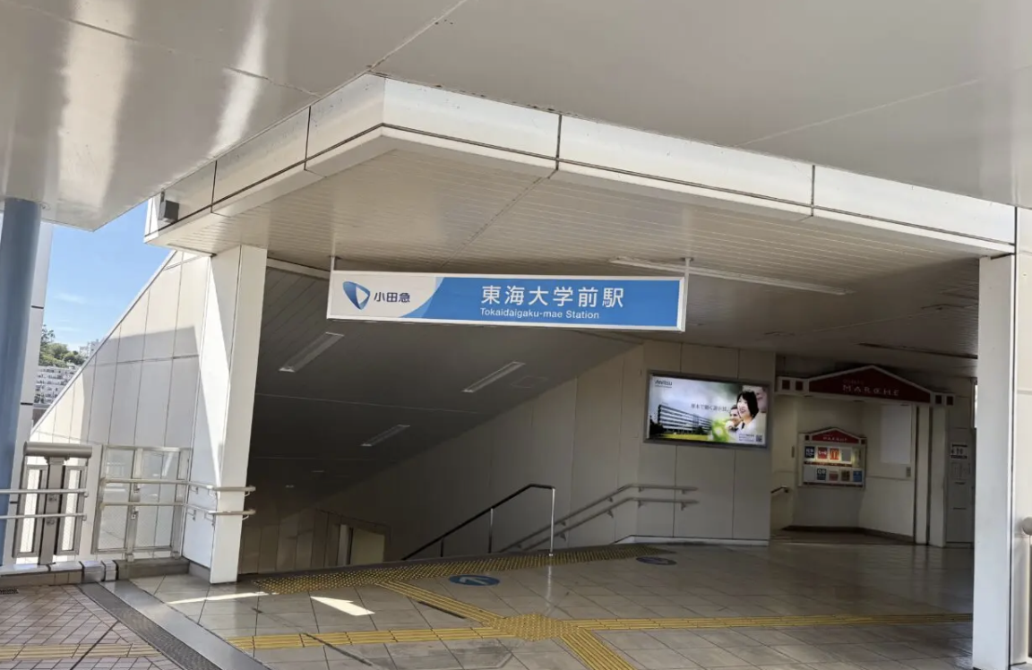 202511大根マルシェ