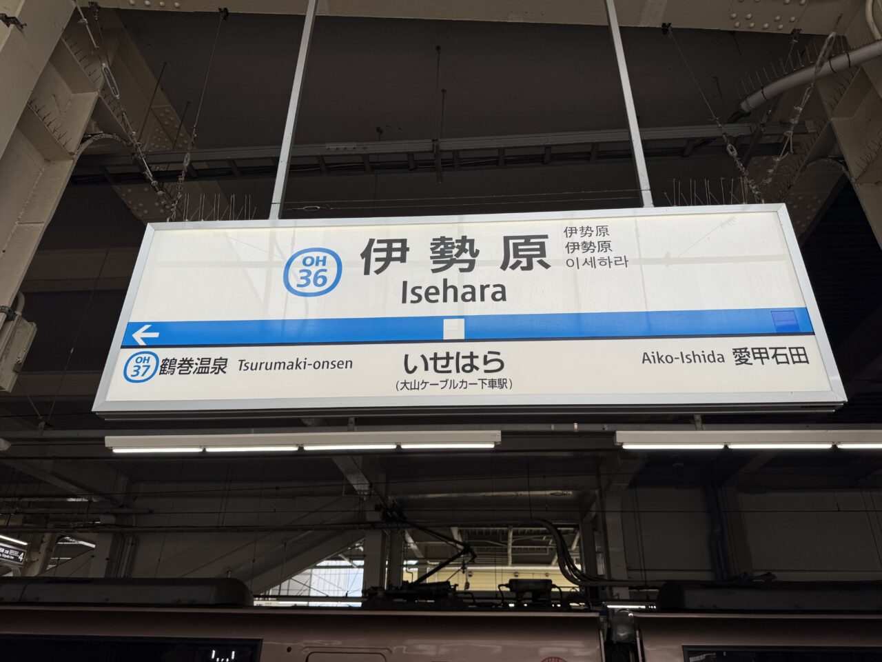 2025動物フェスティバル伊勢原