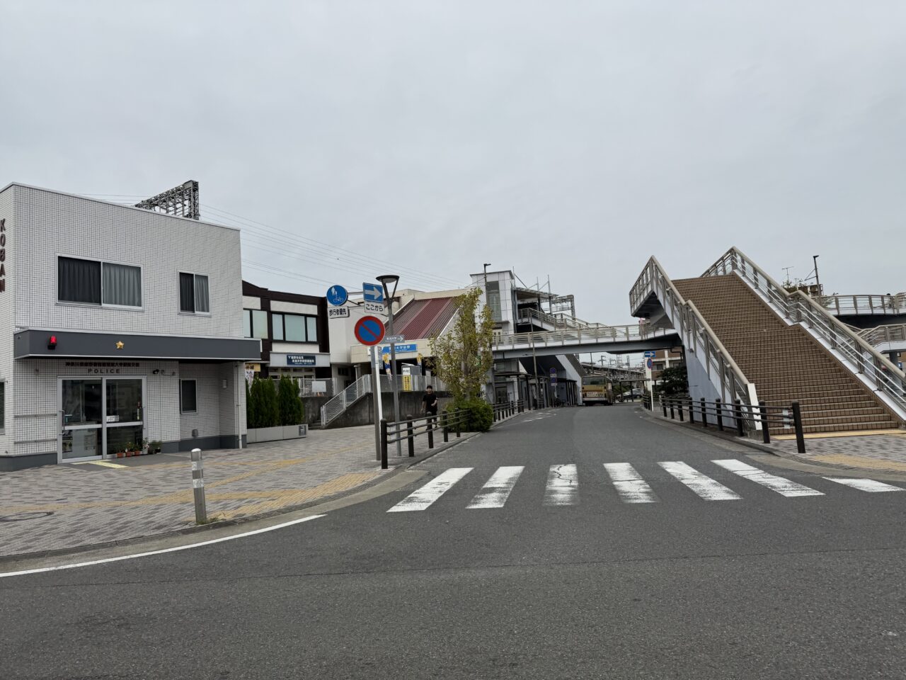 202511大根マルシェ