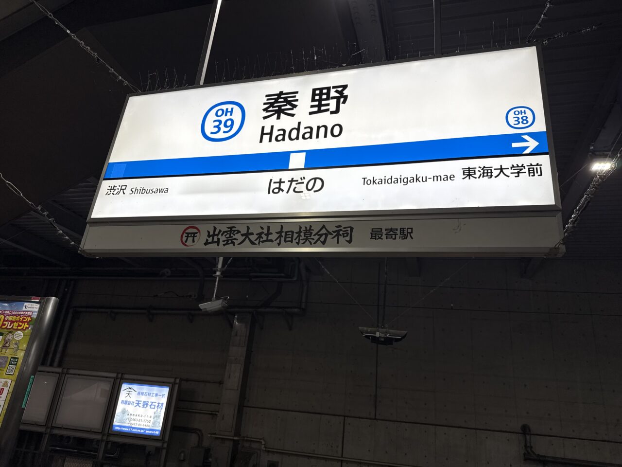 2025秦野ちょいのみフェス