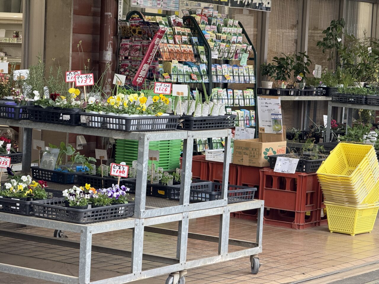 2025あふりーな大感謝祭