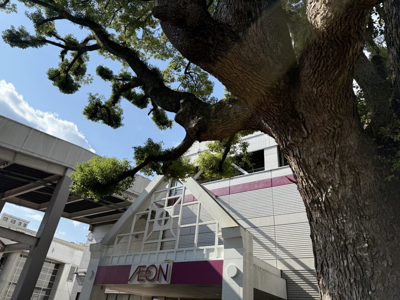 2025ハロウィンジャック