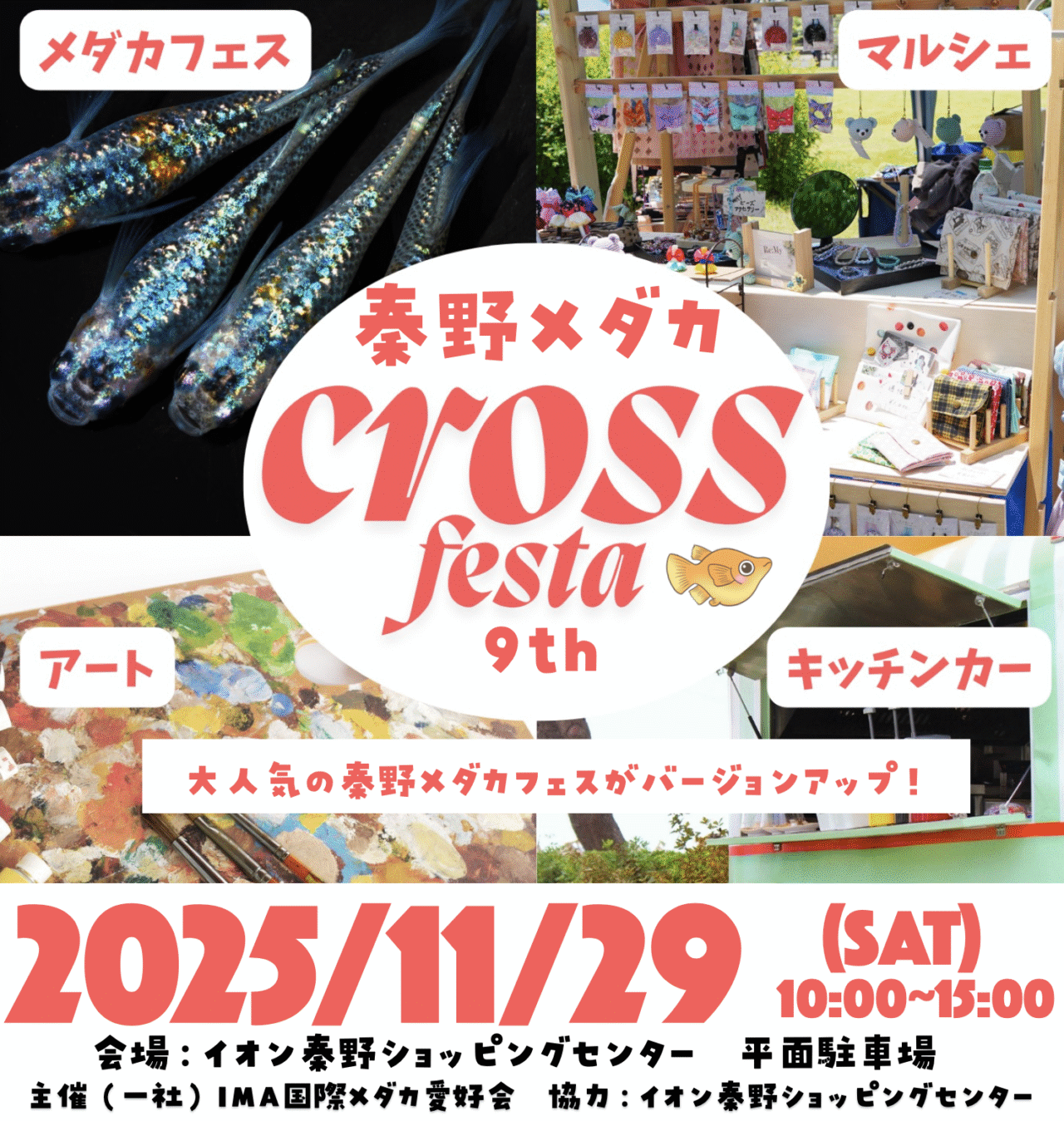 2025秦野メダカCrossFesta
