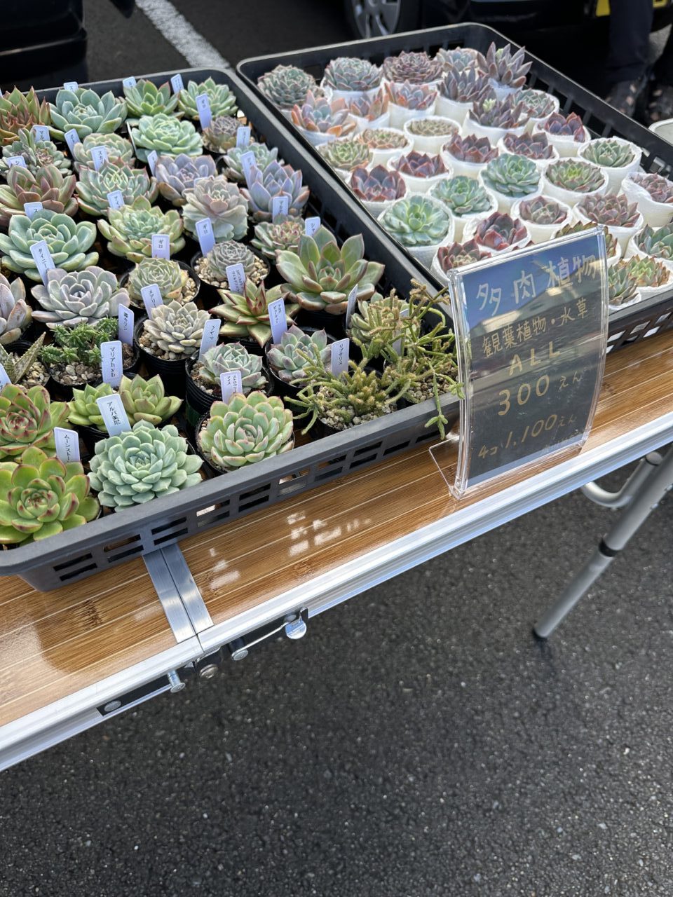 2025北矢名第一秋祭り