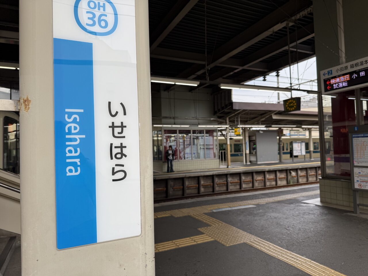 2026大山登山マラソン