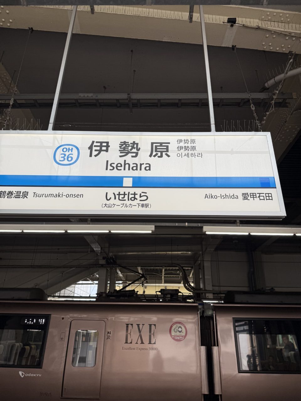 2025伊勢原市スポーツ協会記念講演