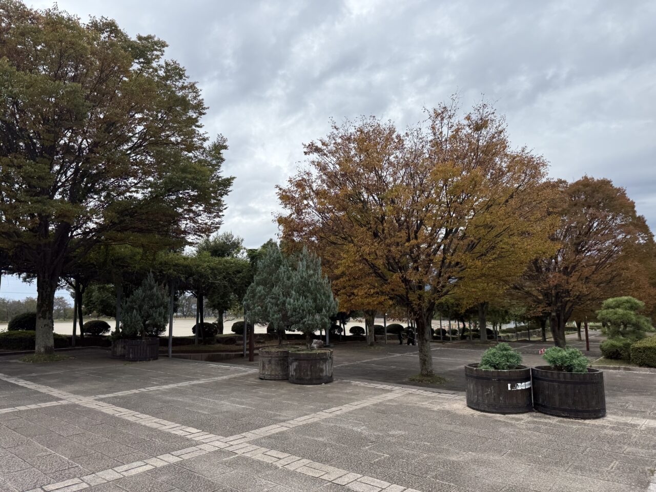 2025伊勢原パン祭り