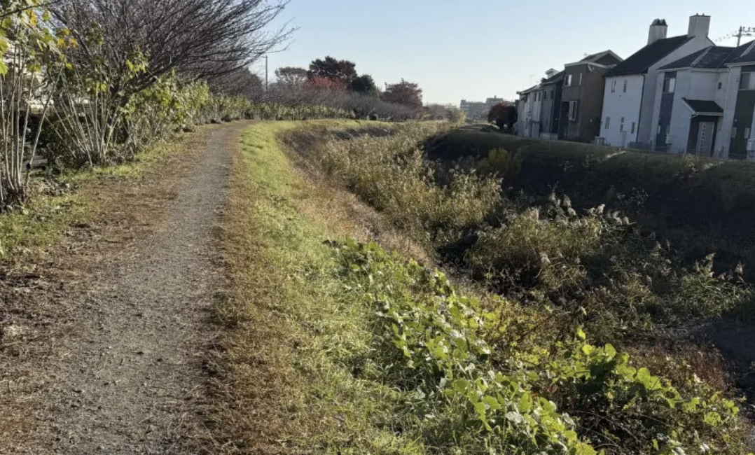 2025里川フォーラム