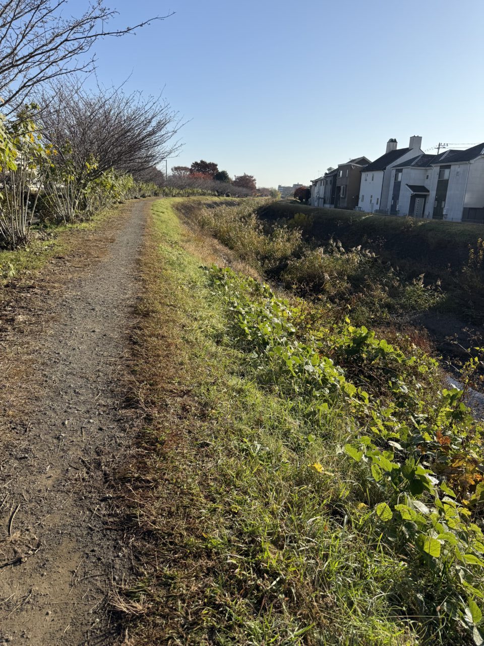 2026冬鳥の観察会