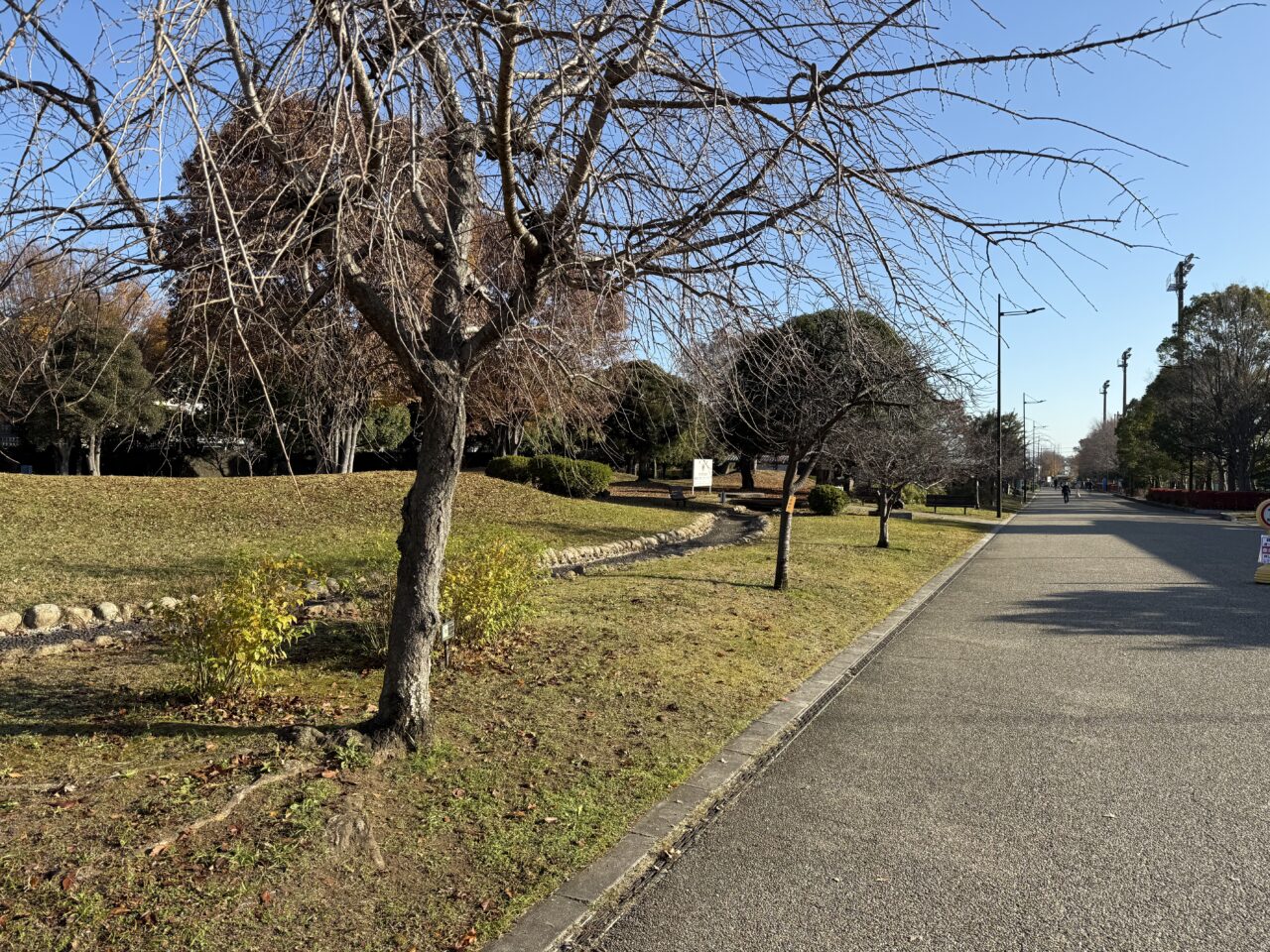 2026冬鳥の観察会