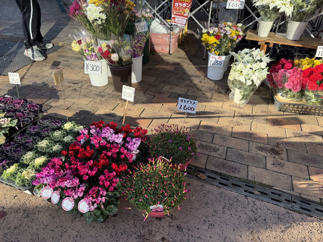 2025鶴巻温泉ガラポン