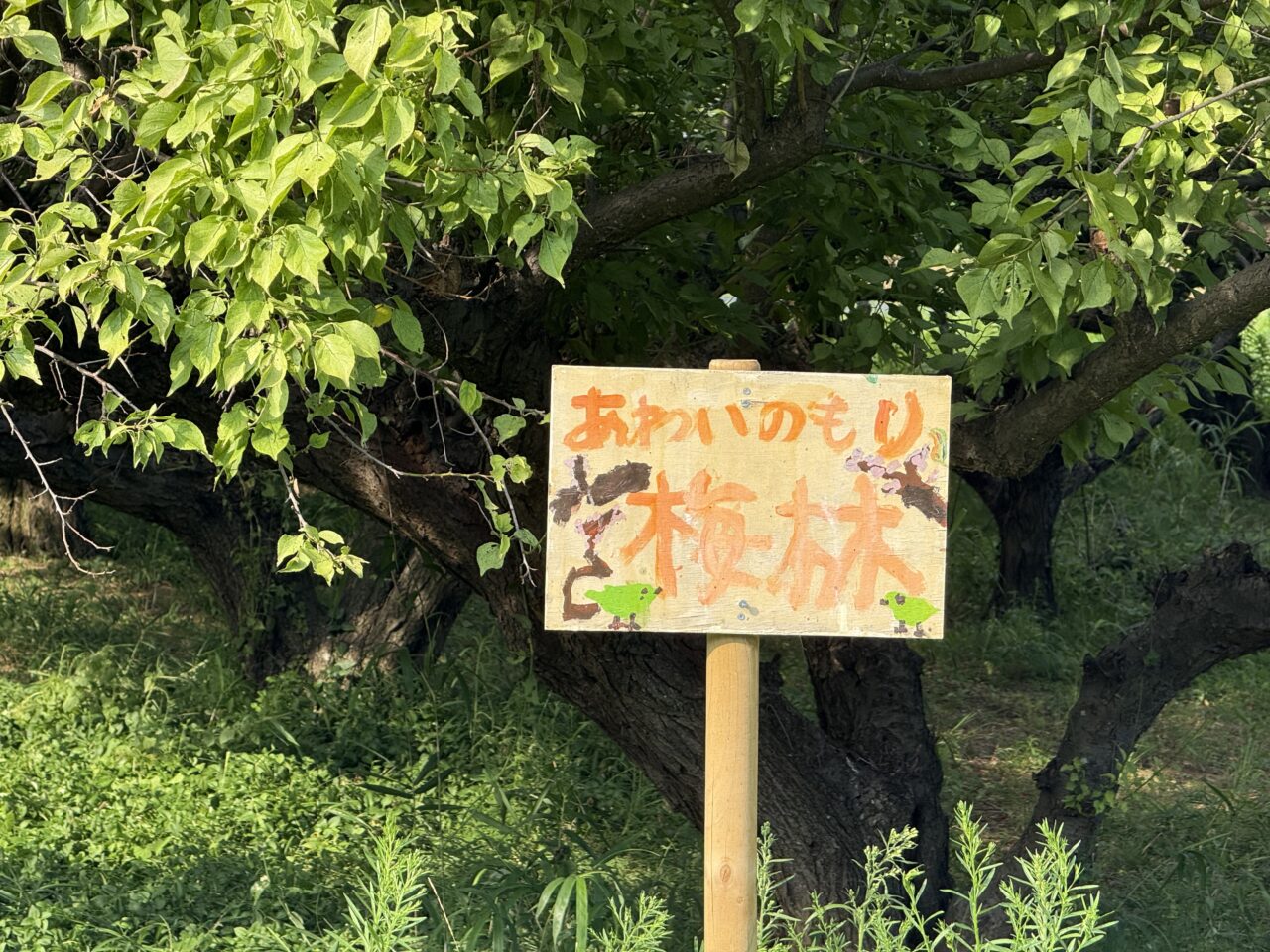 20251207あわいのもり