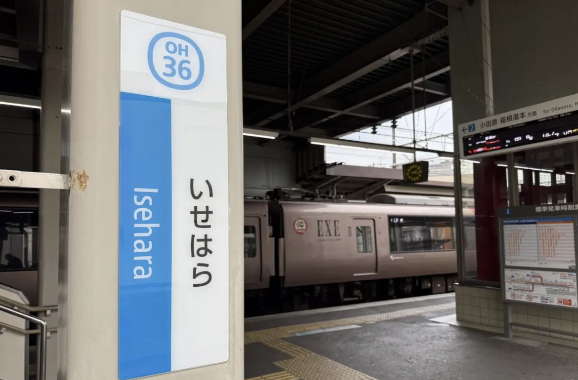 20260118かるた大会