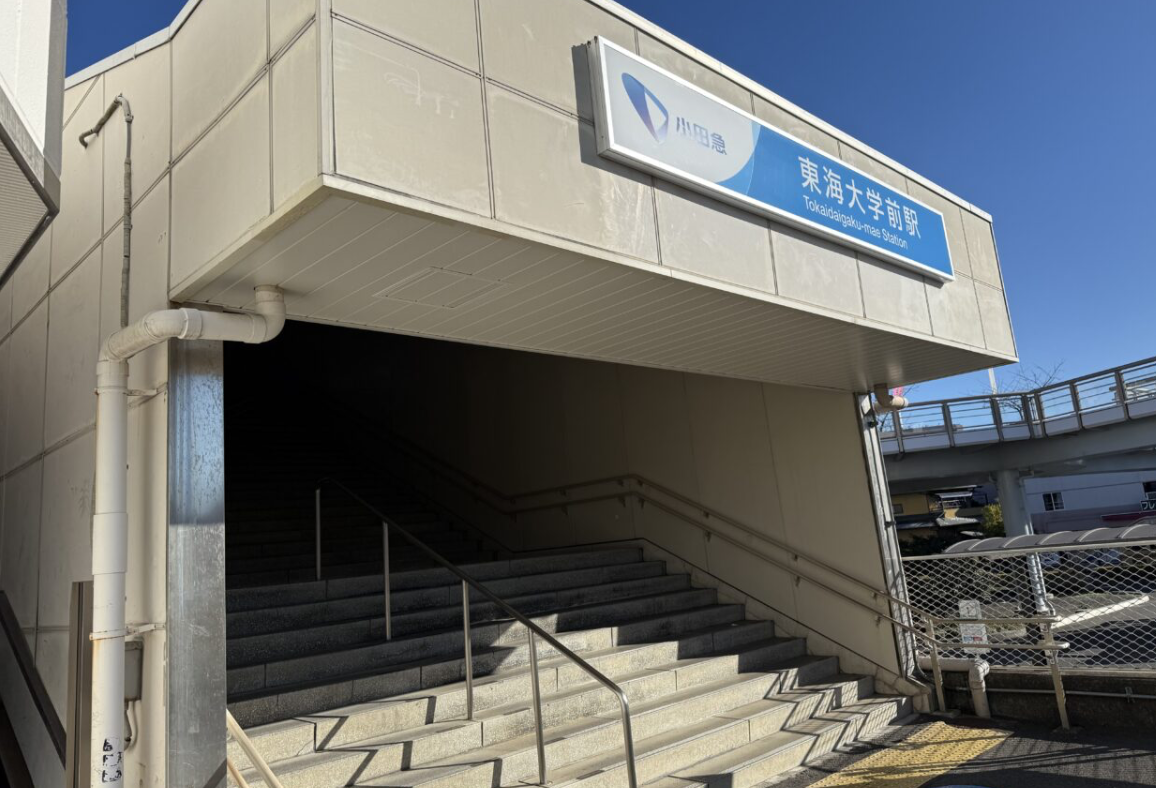 20260128衆議院選挙