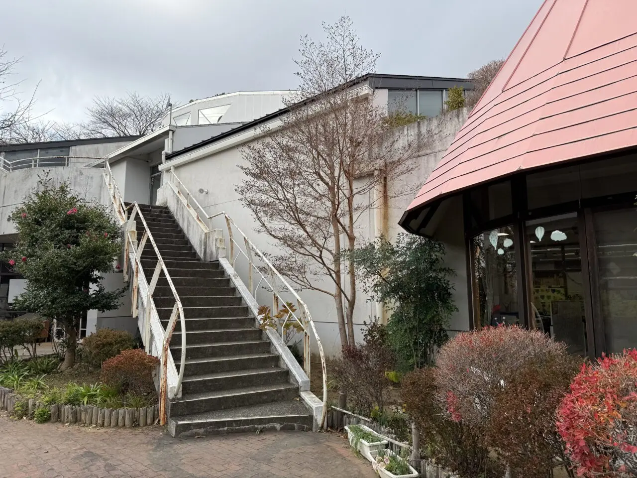 20260212おとこの料理教室