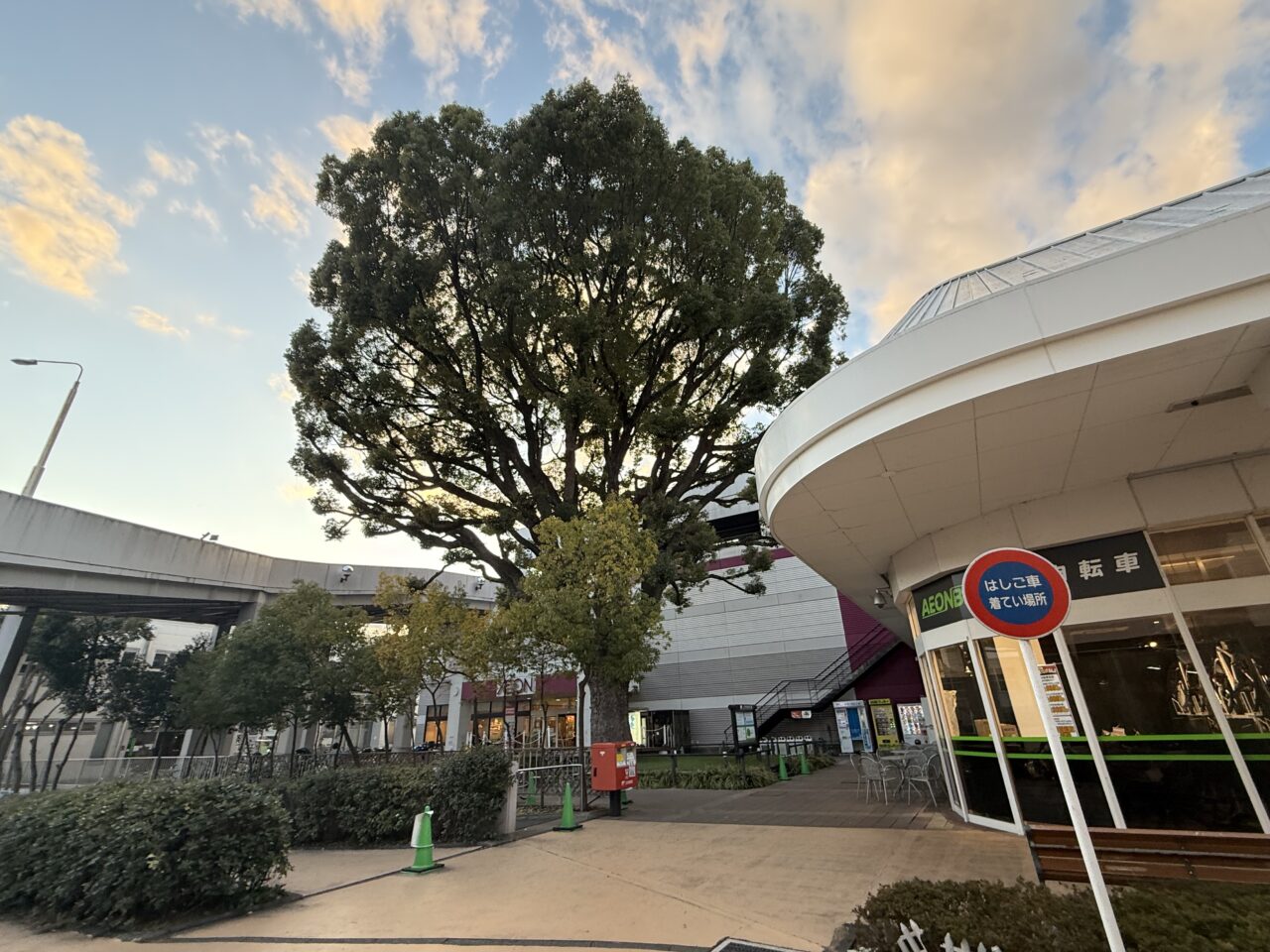 2026lulutoオープン