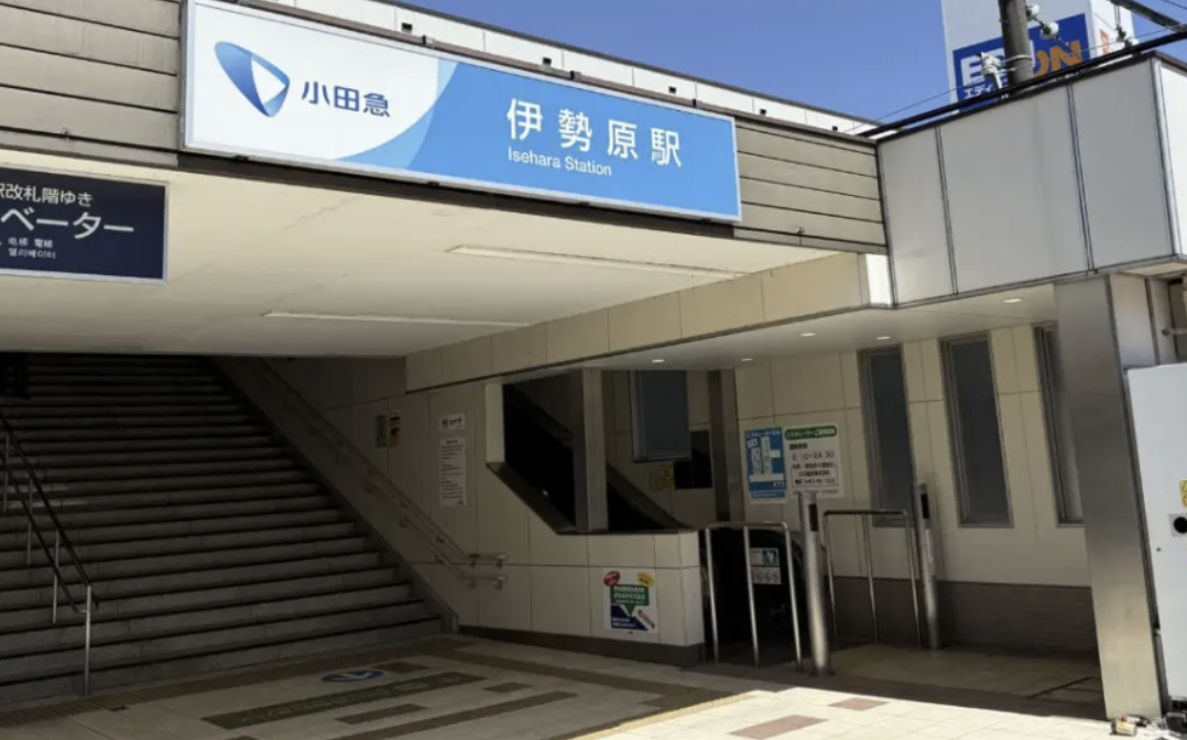 20260203向上高校