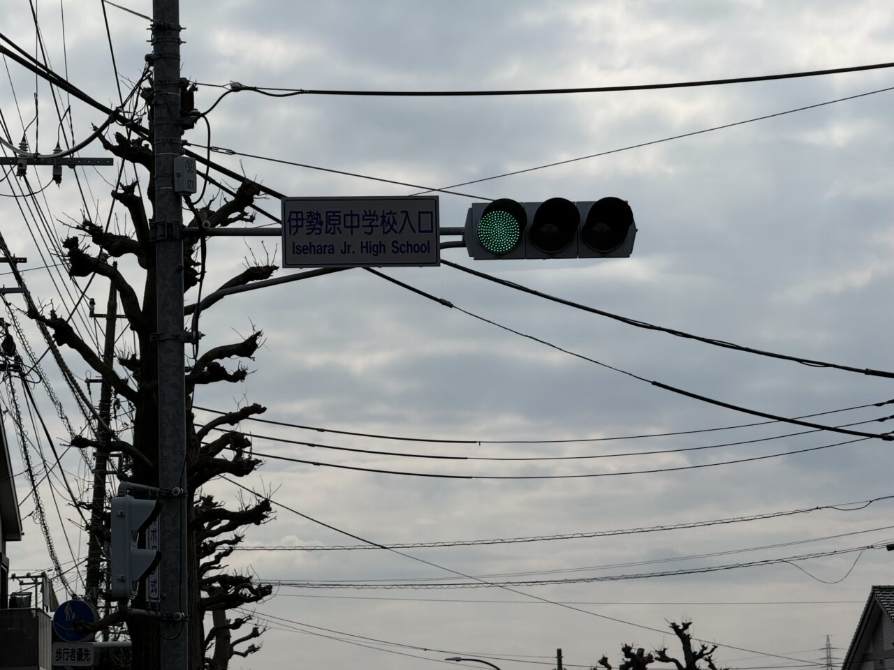 20260214PISOLA伊勢原店