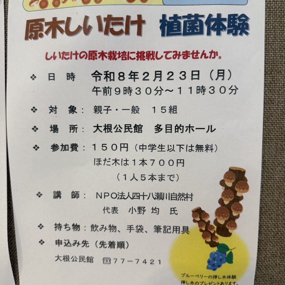 20260215しいたけ