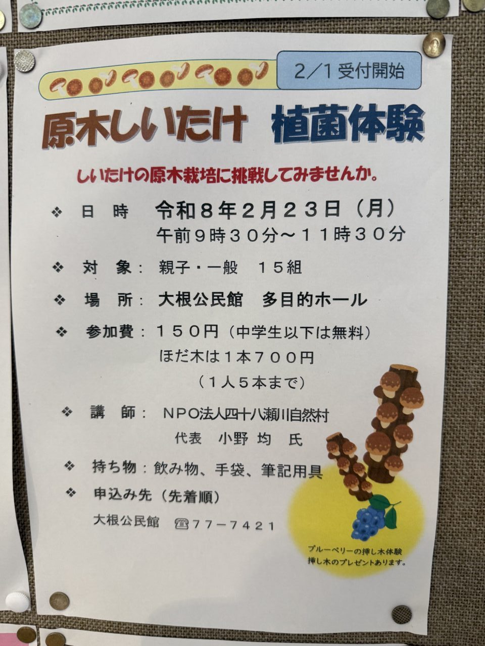 20260215しいたけ