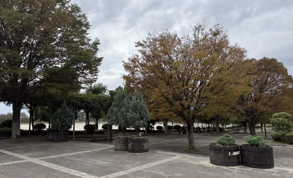 20260318桜フェスタ