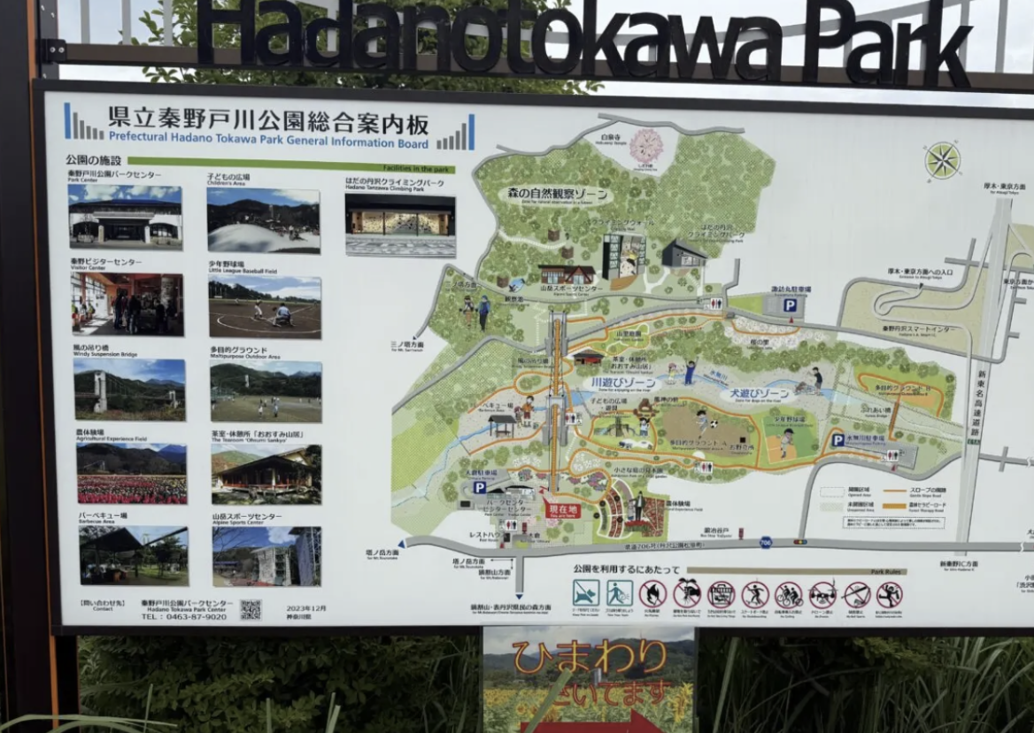 20260325チューリップ