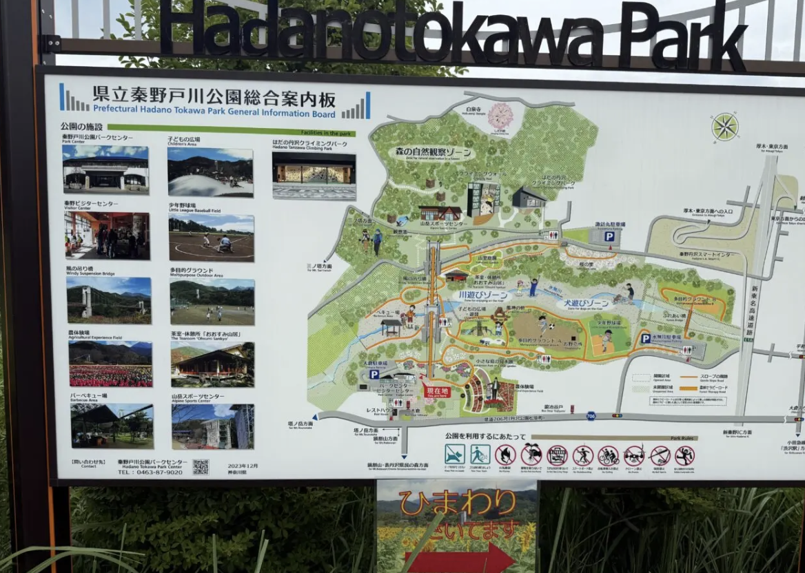 20260307秦野丹沢まつり