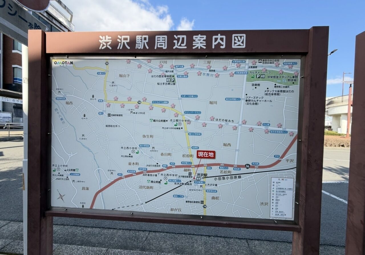 20260307秦野丹沢まつり