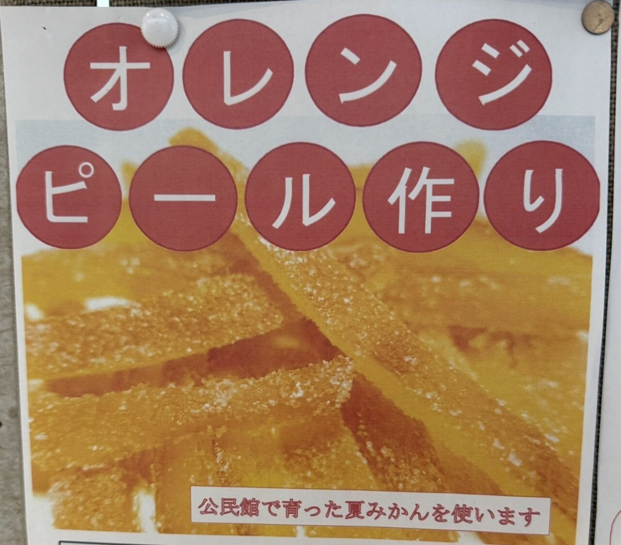 20260314オレンジピール