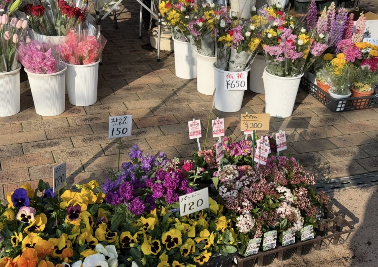 20260327鶴巻朝市