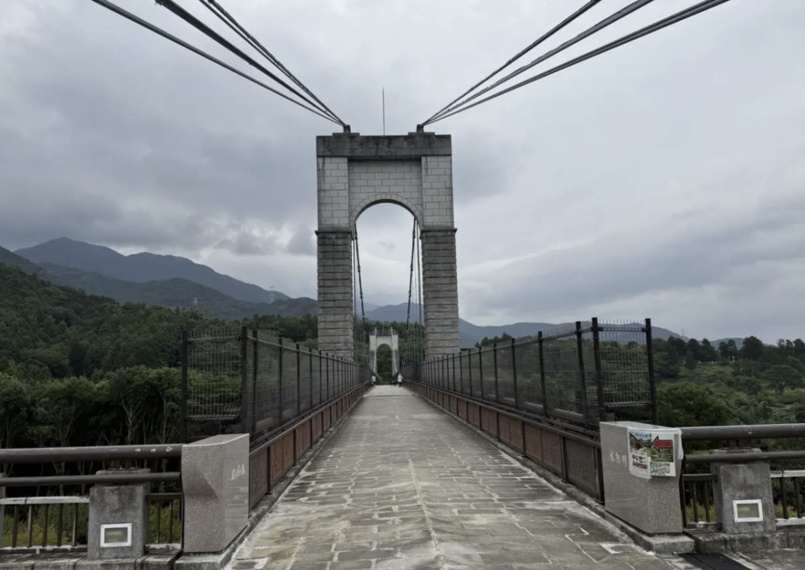 20260325チューリップ